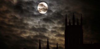 Η ανθρωπότητα και το τερατώδες