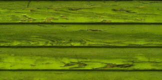 Δασικοί χάρτες: γενναίες αποφάσεις για δίκαιες ρυθμίσεις