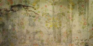 Τα προνόμια των διασημοτήτων και η σύγχρονη παρακμή