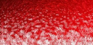 Τα Χριστούγεννα και η Γίγου