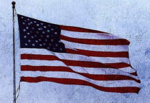 Προβλήματα του πολιτικού συστήματος των ΗΠΑ