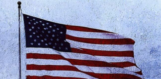 Προβλήματα του πολιτικού συστήματος των ΗΠΑ