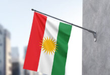 Ο αφοπλισμός του PPK