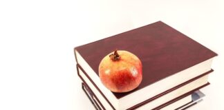 Η εξέλιξη του πανεπιστημίου: Από τη μετάδοση γνώσης στη δημιουργία αξίας