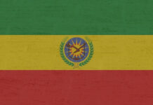 Η οικονομική συνεργασία μεταξύ Κίνας και Αιθιοπίας