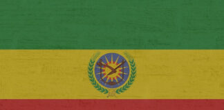 Η οικονομική συνεργασία μεταξύ Κίνας και Αιθιοπίας